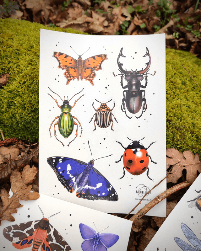 Lot de 3 planches de 6 stickers