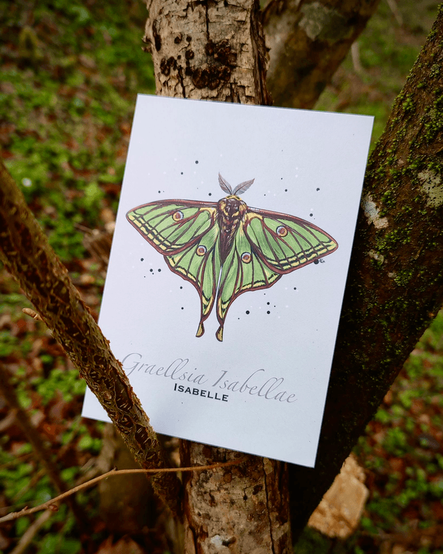 Isabelle - Carte format A6