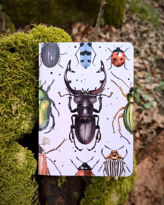 Carnet format A6 - Coléoptères