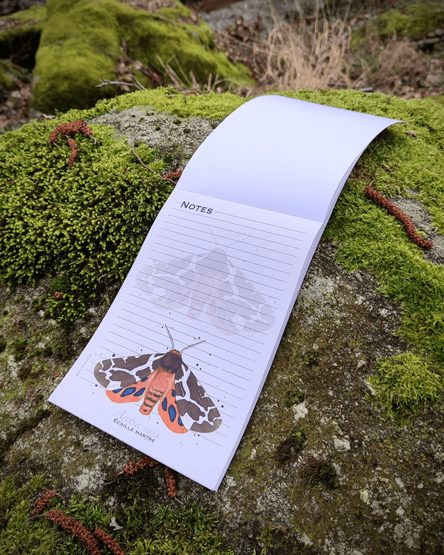 Bloc-notes format A5 - INSECTES - 54 feuillets