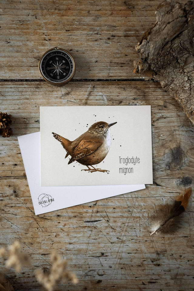 TROGLODYTE MIGNON- Carte format A6 