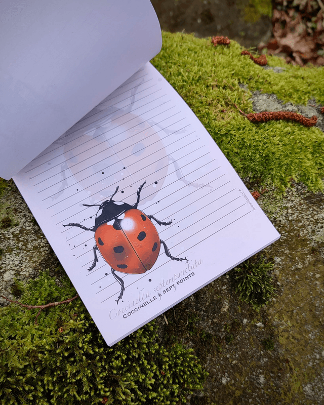 Bloc-notes format A5 - INSECTES - 54 feuillets