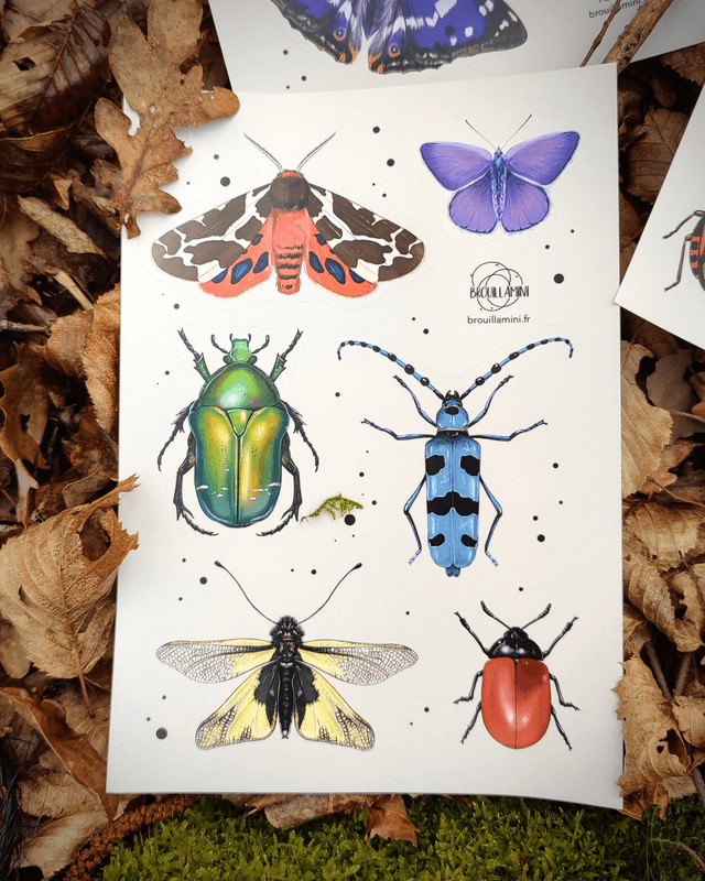 Lot de 3 planches de 6 stickers