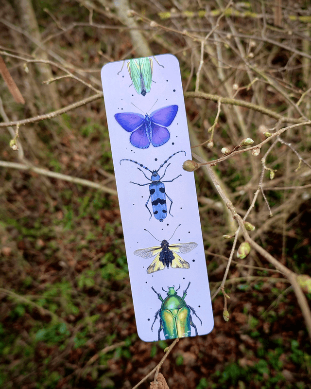 Lot de 3 marque-page - motif INSECTES