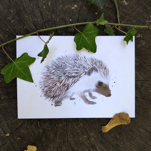 HÉRISSON - Illustration format A6 ou A5