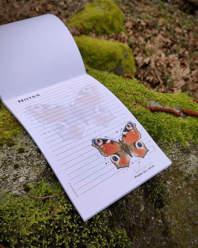 Bloc-notes format A5 - INSECTES - 54 feuillets