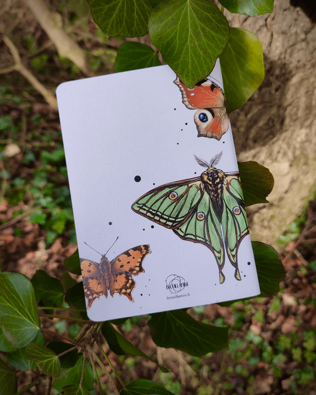 Carnet format A6 - Lépidoptères