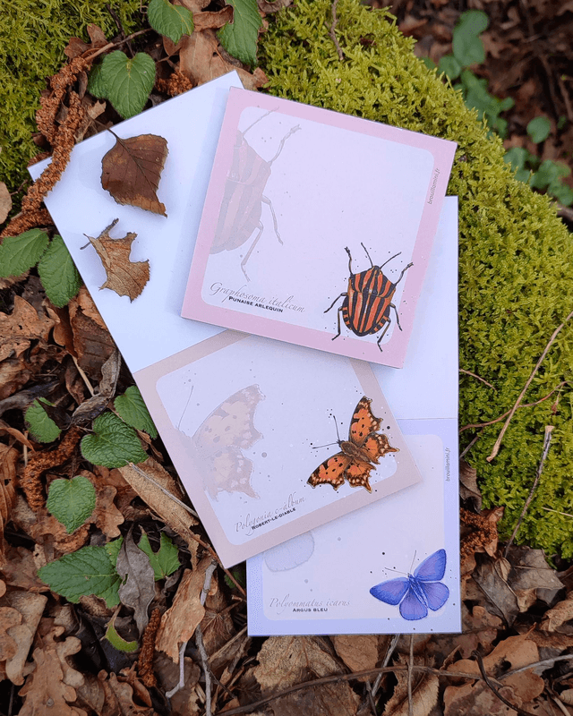 Bloc-notes carré - INSECTES 