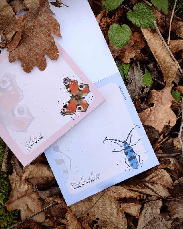 Bloc-notes carré - INSECTES 