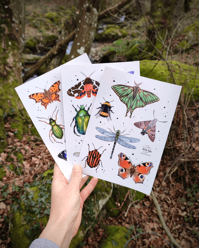Lot de 3 planches de 6 stickers