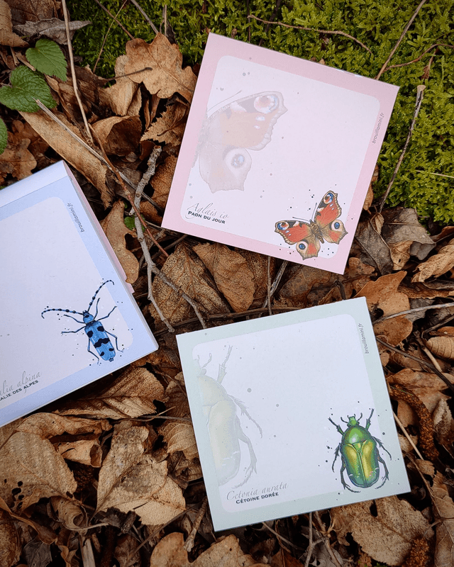 Bloc-notes carré - INSECTES 