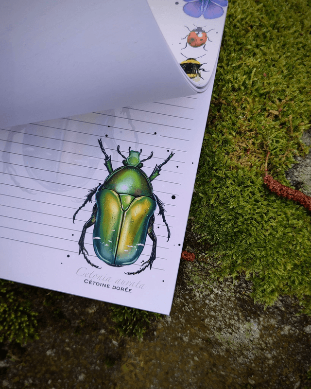 Bloc-notes format A5 - INSECTES - 54 feuillets