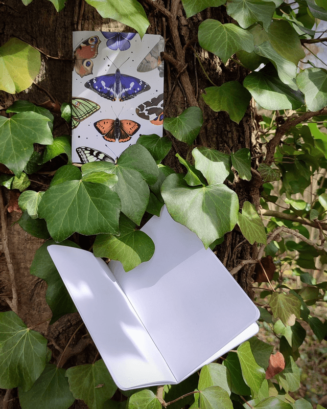 Carnet format A6 - Lépidoptères