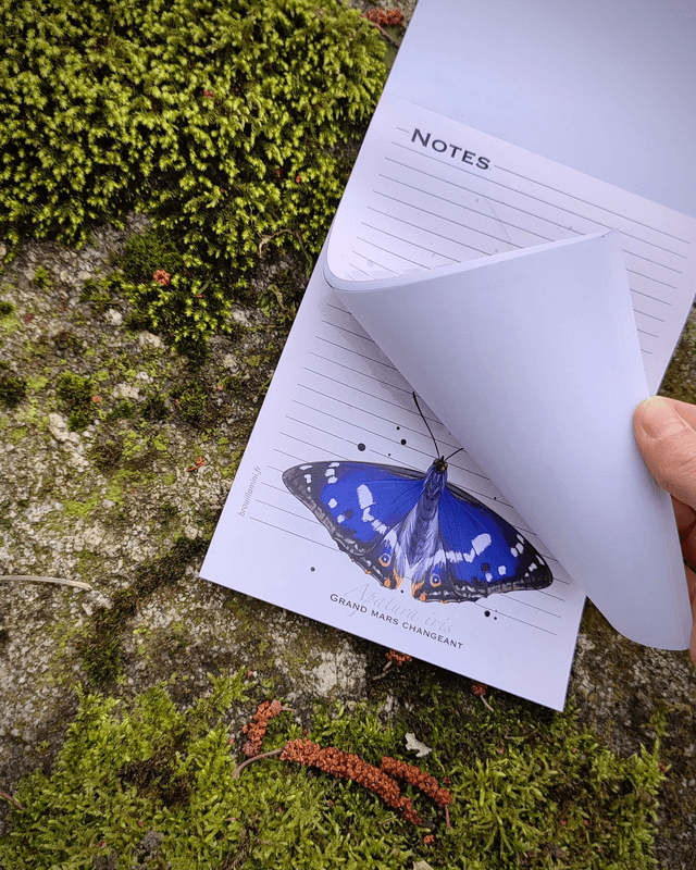 Bloc-notes format A5 - INSECTES - 54 feuillets