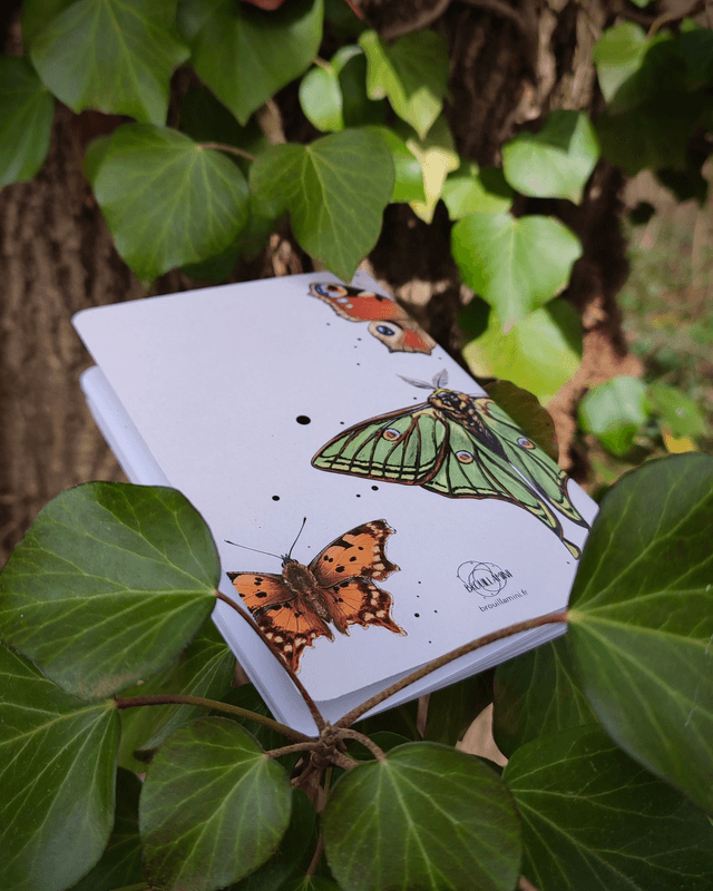 Carnet format A6 - Lépidoptères