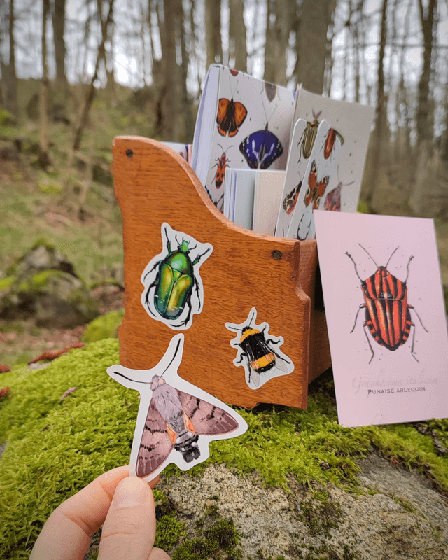 Lot de 3 planches de 6 stickers