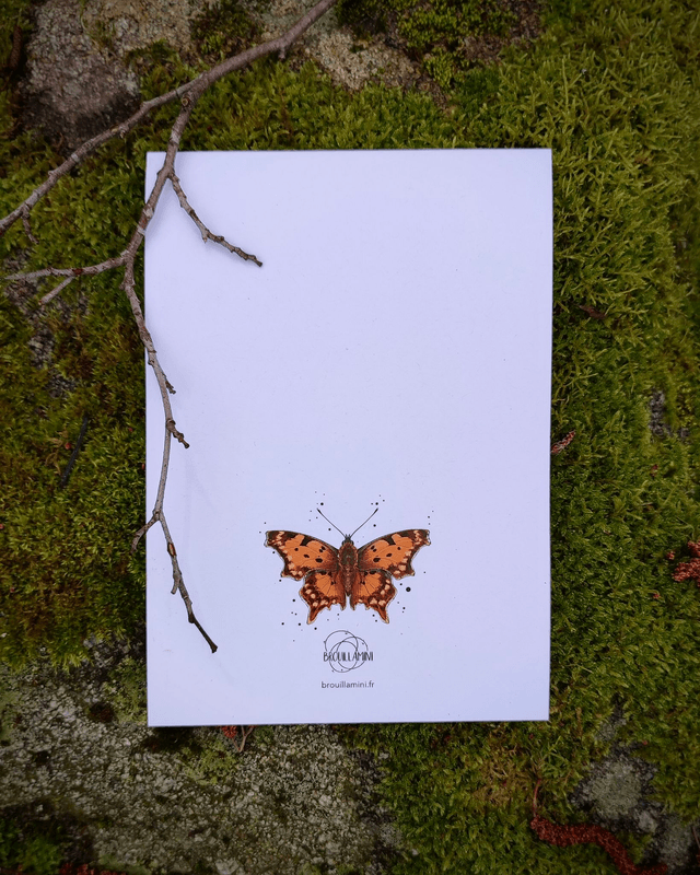 Bloc-notes format A5 - INSECTES - 54 feuillets