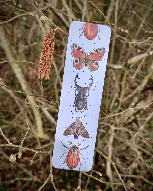 Lot de 3 marque-page - motif INSECTES