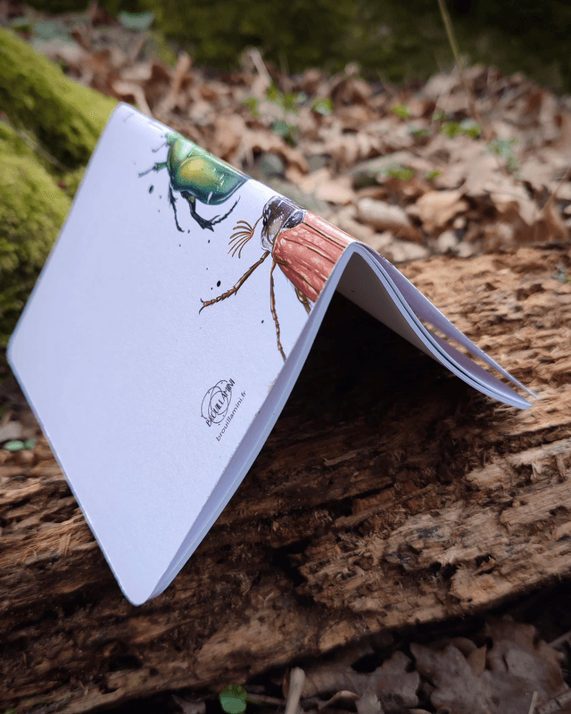 Carnet format A6 - Coléoptères