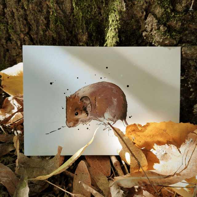 Carte CAMPAGNOLE - Formats A6
