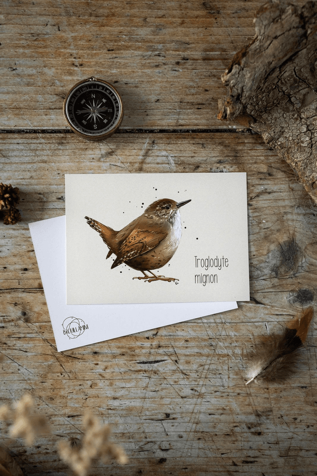 TROGLODYTE MIGNON- Carte format A6 