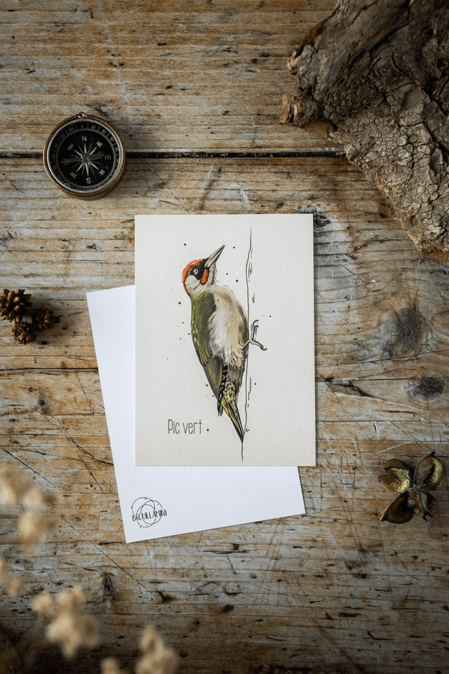 PIC VERT - Carte format A6  
