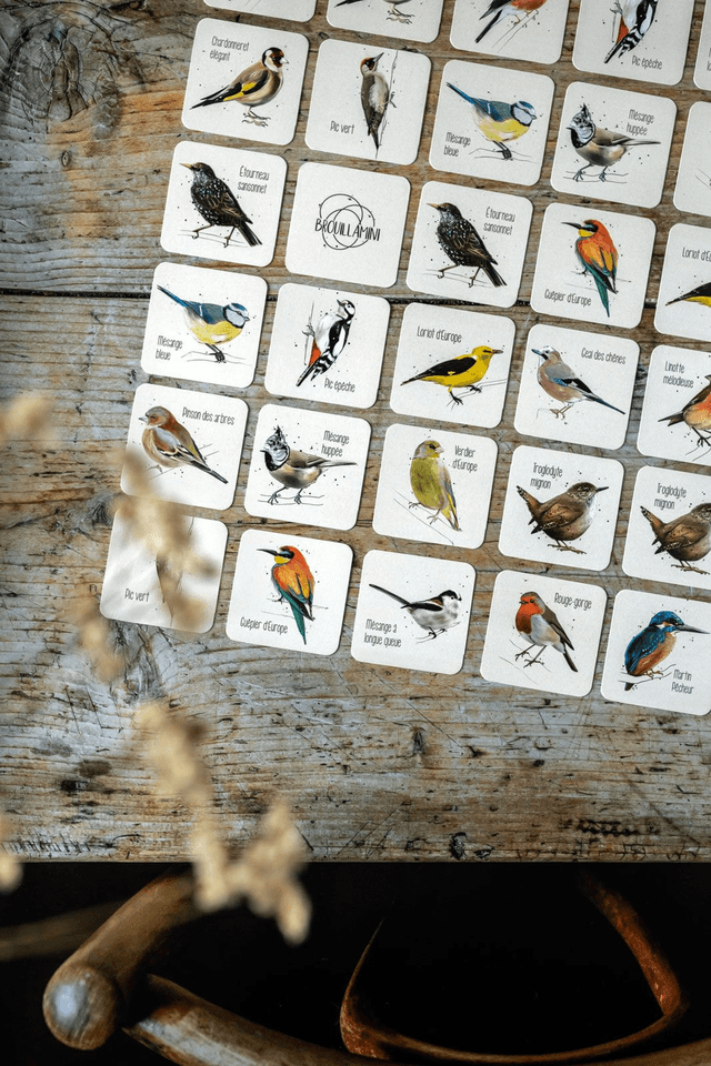 Memory des oiseaux