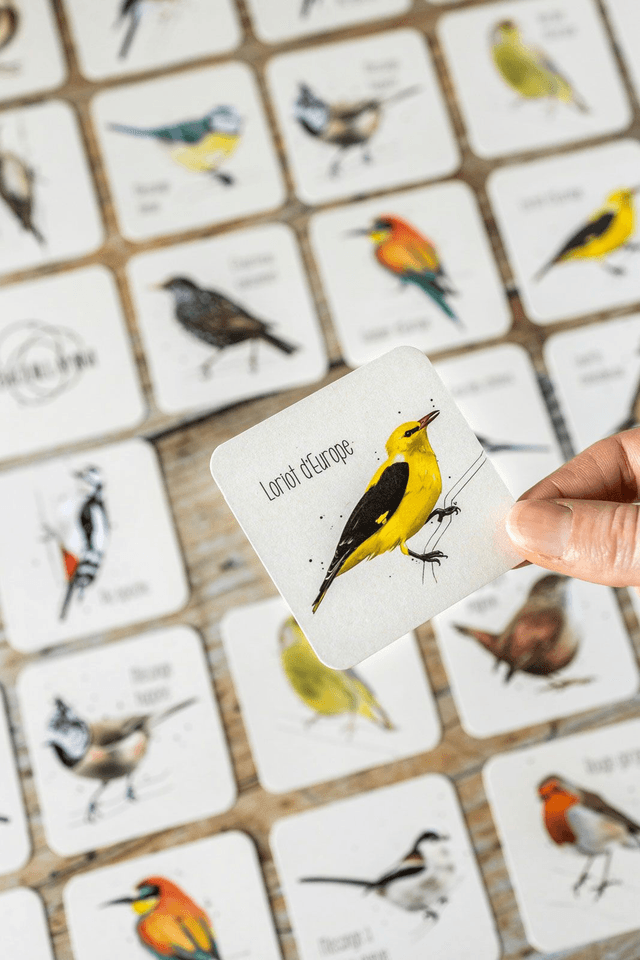 Memory des oiseaux